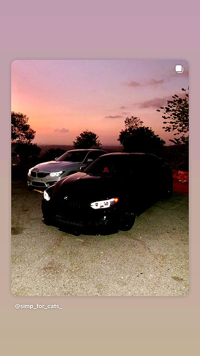 simp_for_cats_ simp_for_cats_ archive video