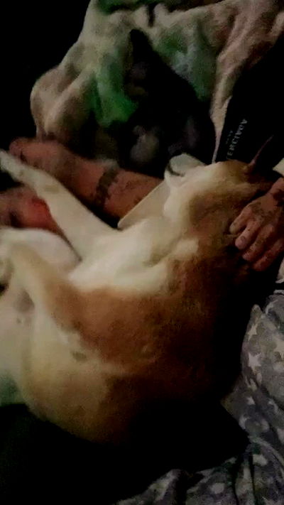 zommmbri zommmbri archive video