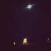selenagomez Altpins Profile Picture