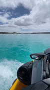 eloise_wensley Altpins Profile Picture