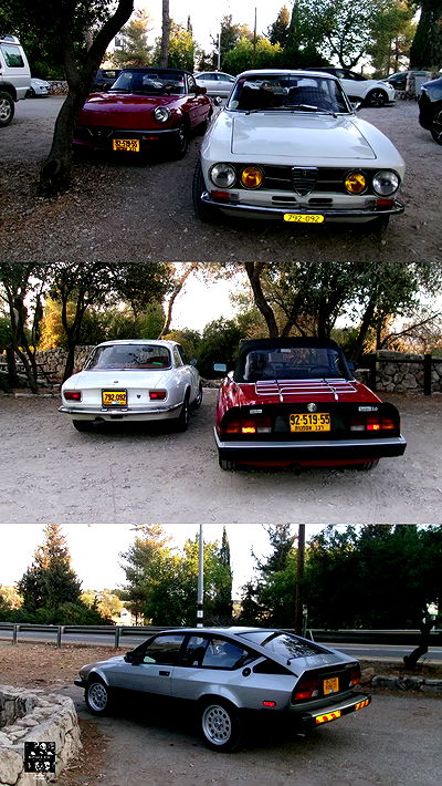 simp_for_cats_ simp_for_cats_ archive video