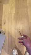 laararosebackup Altpins Profile Picture