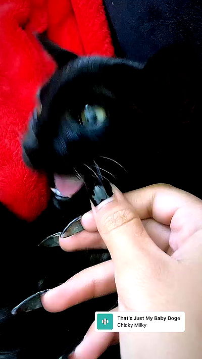 rebecka_tsadok rebecka_tsadok archive video