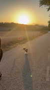 amit_basson_ Altpins Profile Picture