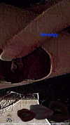 nogz666 Altpins Profile Picture