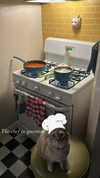 sydney_melman Altpins Profile Picture