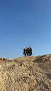 rotem.antman Altpins Profile Picture