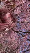 miss_baby007 Altpins Profile Picture