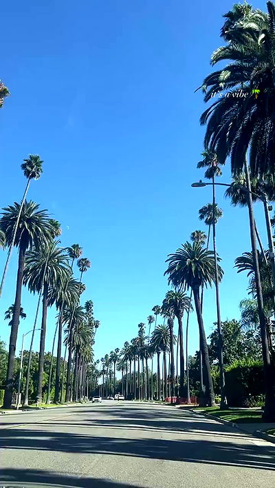 payton.r payton.r archive video