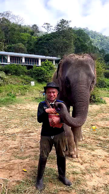 rivkavel rivkavel archive video