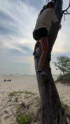 bellarenaldii Altpins Profile Picture