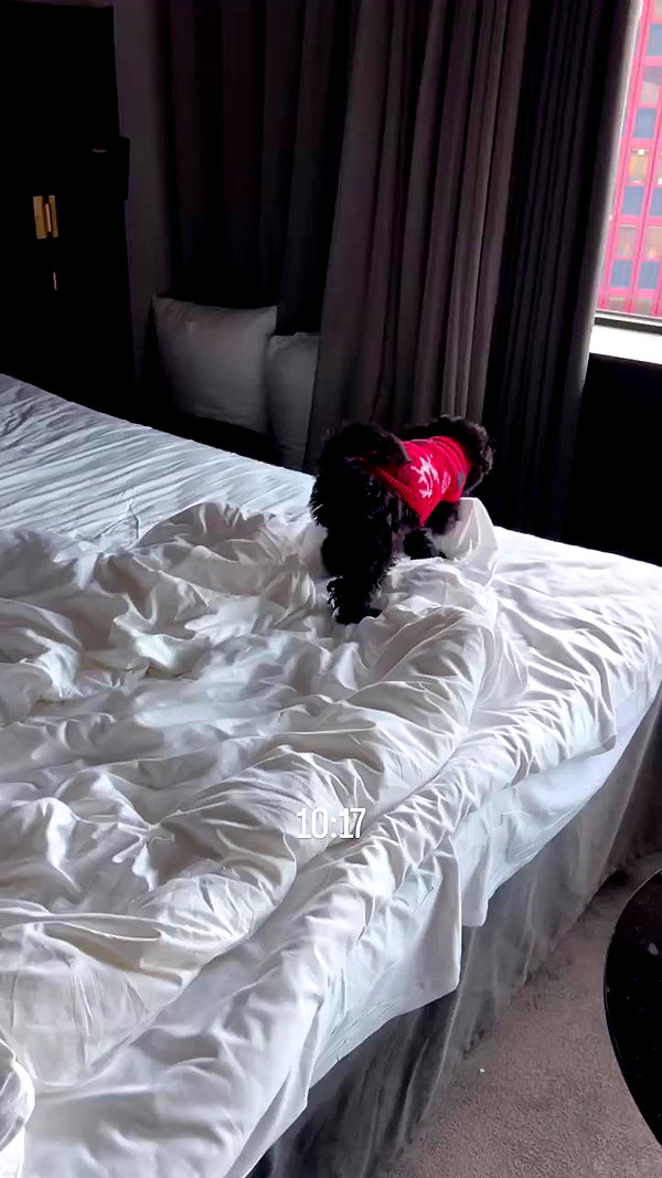 miss_baby007 archive video preview