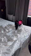 miss_baby007 Altpins Profile Picture