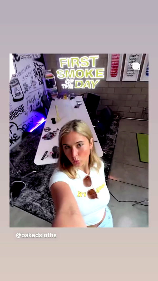bakedsloths archive video preview