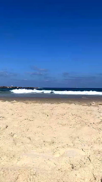 yam_adler yam_adler archive video