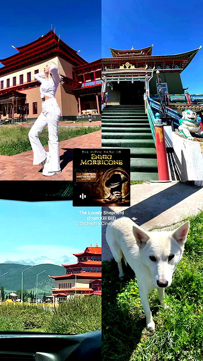 ninja.vi ninja.vi archive video