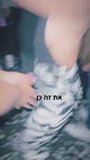 shaniii.1 Altpins Profile Picture