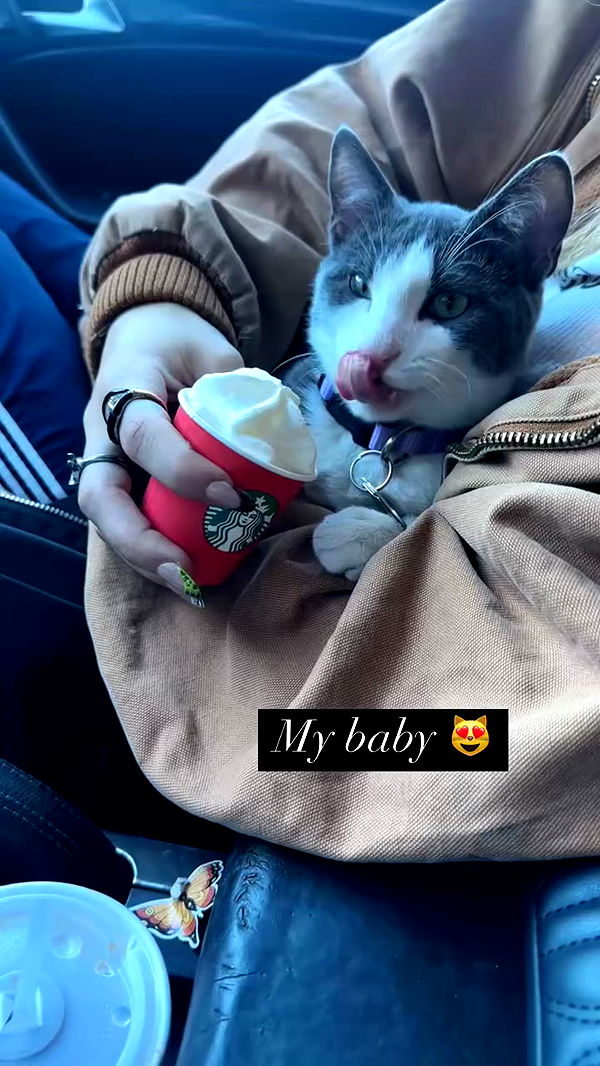 tatum.ricee archive video preview