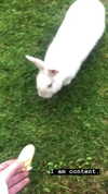 blairvira Altpins Profile Picture
