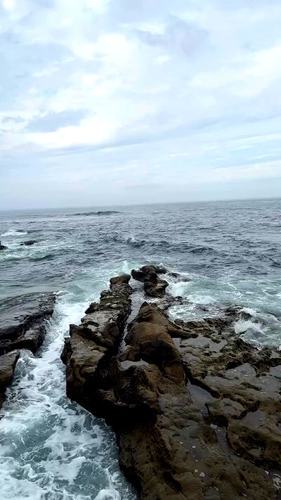 zommmbri zommmbri archive video