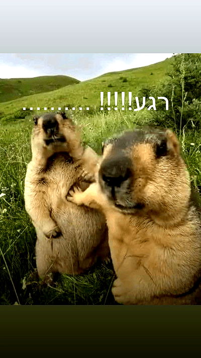 itsilanosh itsilanosh archive video