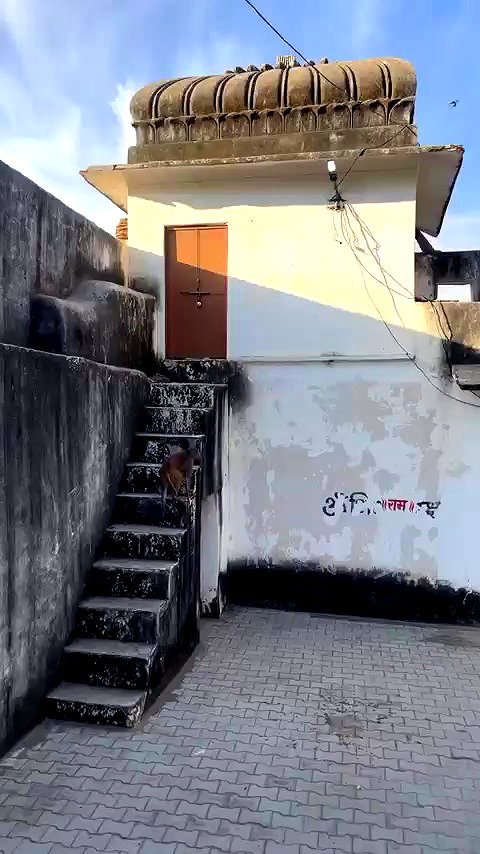 noa.c___ archive video preview