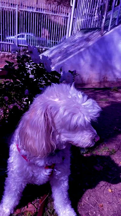 feelbetterinmysweater feelbetterinmysweater archive video