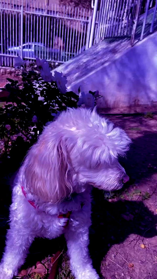 feelbetterinmysweater archive video preview