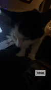 m3oww0_o Altpins Profile Picture