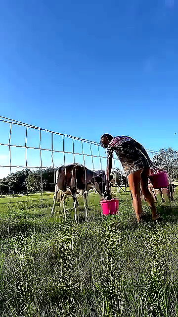 sophieraiin sophieraiin archive video