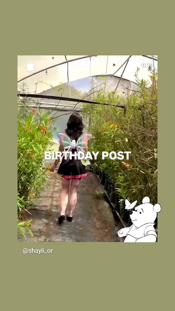 shayli_or archive video preview