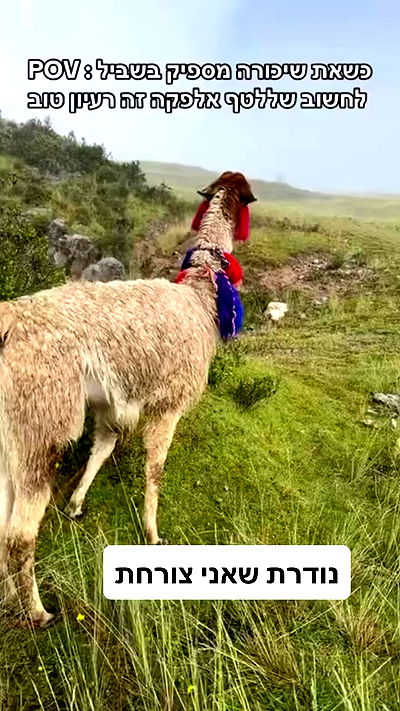 shelly_.mor shelly_.mor archive video