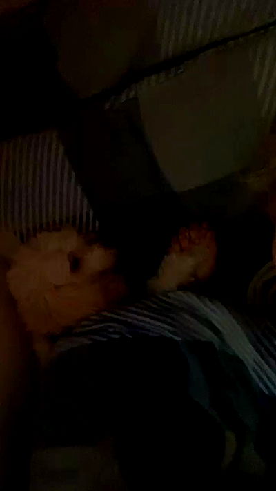 feelbetterinmysweater feelbetterinmysweater archive video