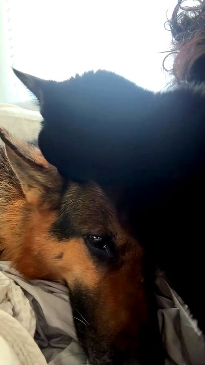 little.warren_ little.warren_ archive video