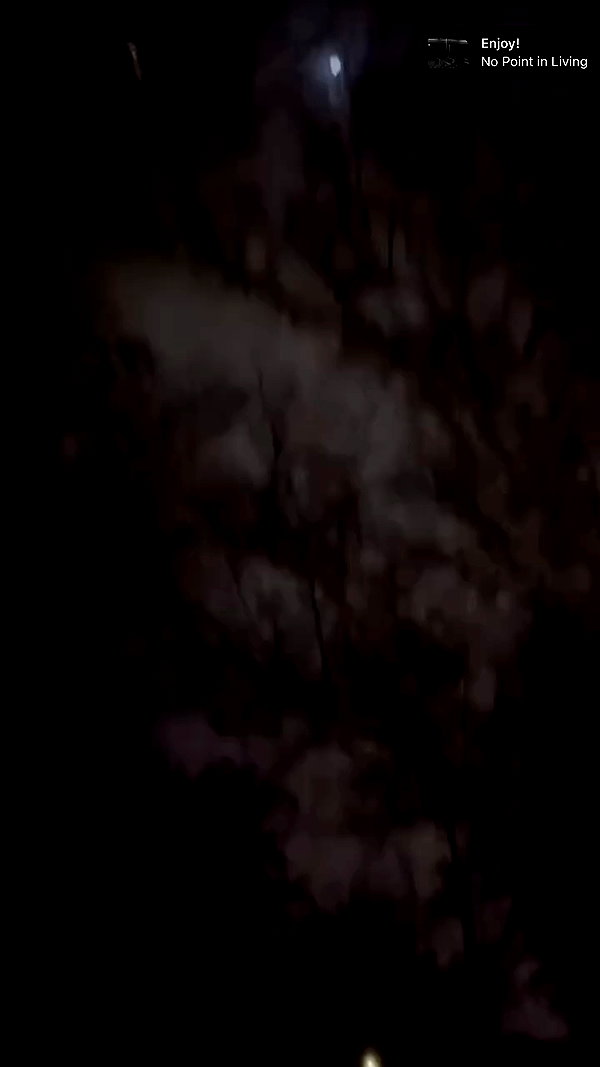 bloodyfukk archive video preview