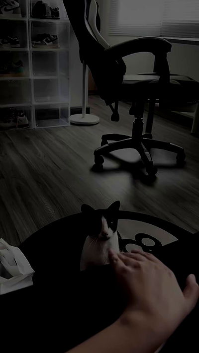 oqr0_ oqr0_ archive video