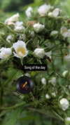 zz.eazoning Altpins Profile Picture
