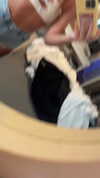 caammmyyy Altpins Profile Picture