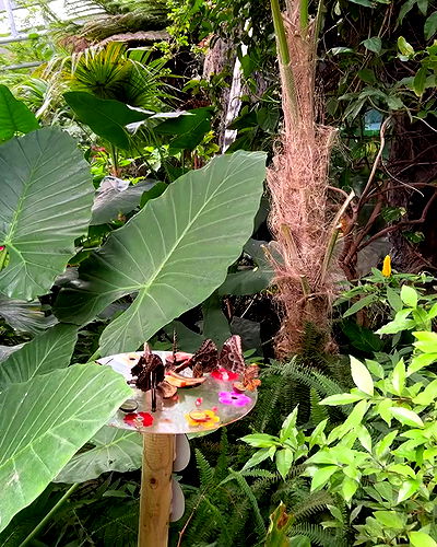 rebecka_tsadok rebecka_tsadok archive video