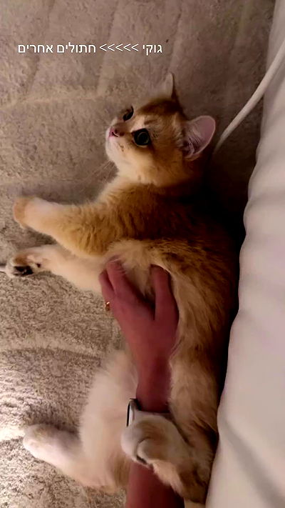 itsilanosh itsilanosh archive video