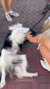 ellauk Altpins Profile Picture