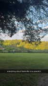 breckiehill Altpins Profile Picture