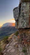 noa_mendel_ Altpins Profile Picture