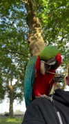roni_ackerman Altpins Profile Picture