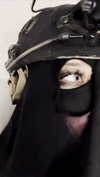 ninja.vi Altpins Profile Picture