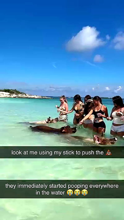 sophieraiin sophieraiin archive video