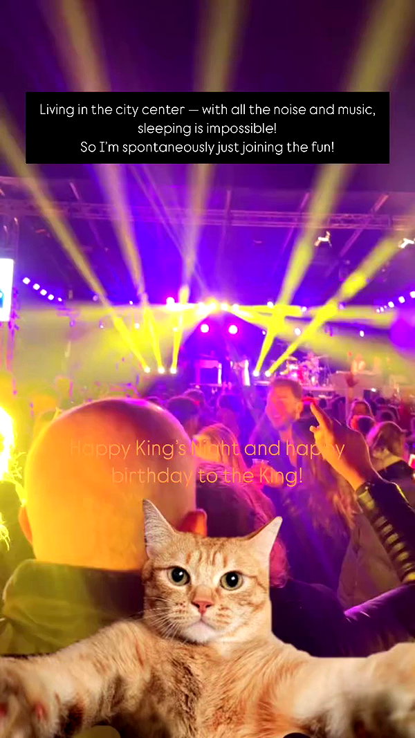 sonya_fisher_ archive video preview