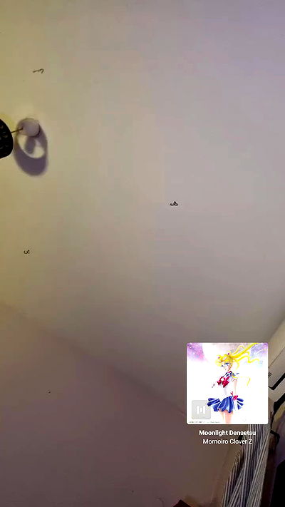 shayli_or shayli_or archive video