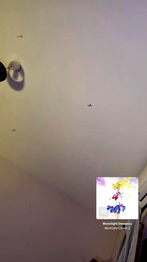 shayli_or archive video preview