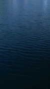 ngha_nhi Altpins Profile Picture